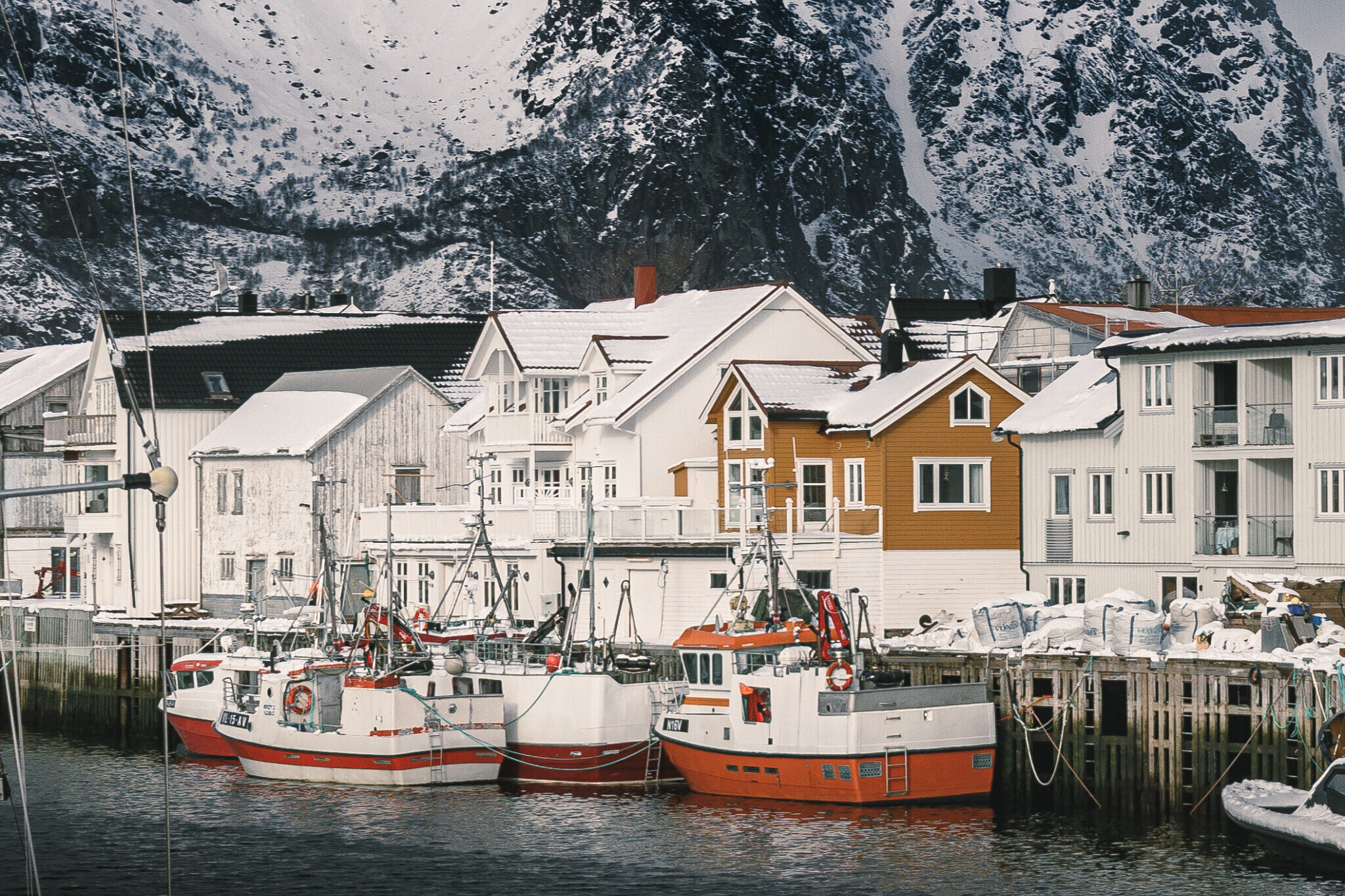 Lofoten_2025_2