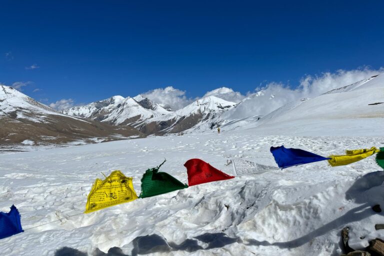Wild Yak Expeditions