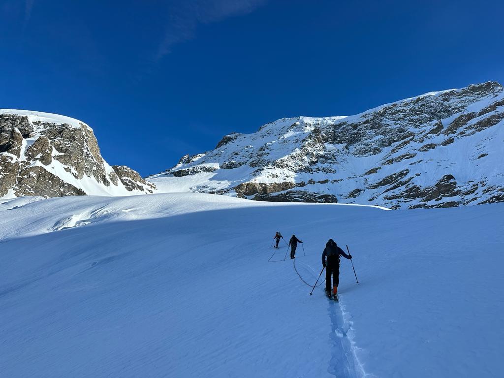 2397a4a8-b30a-494d-b4c3-ecef57d723f6