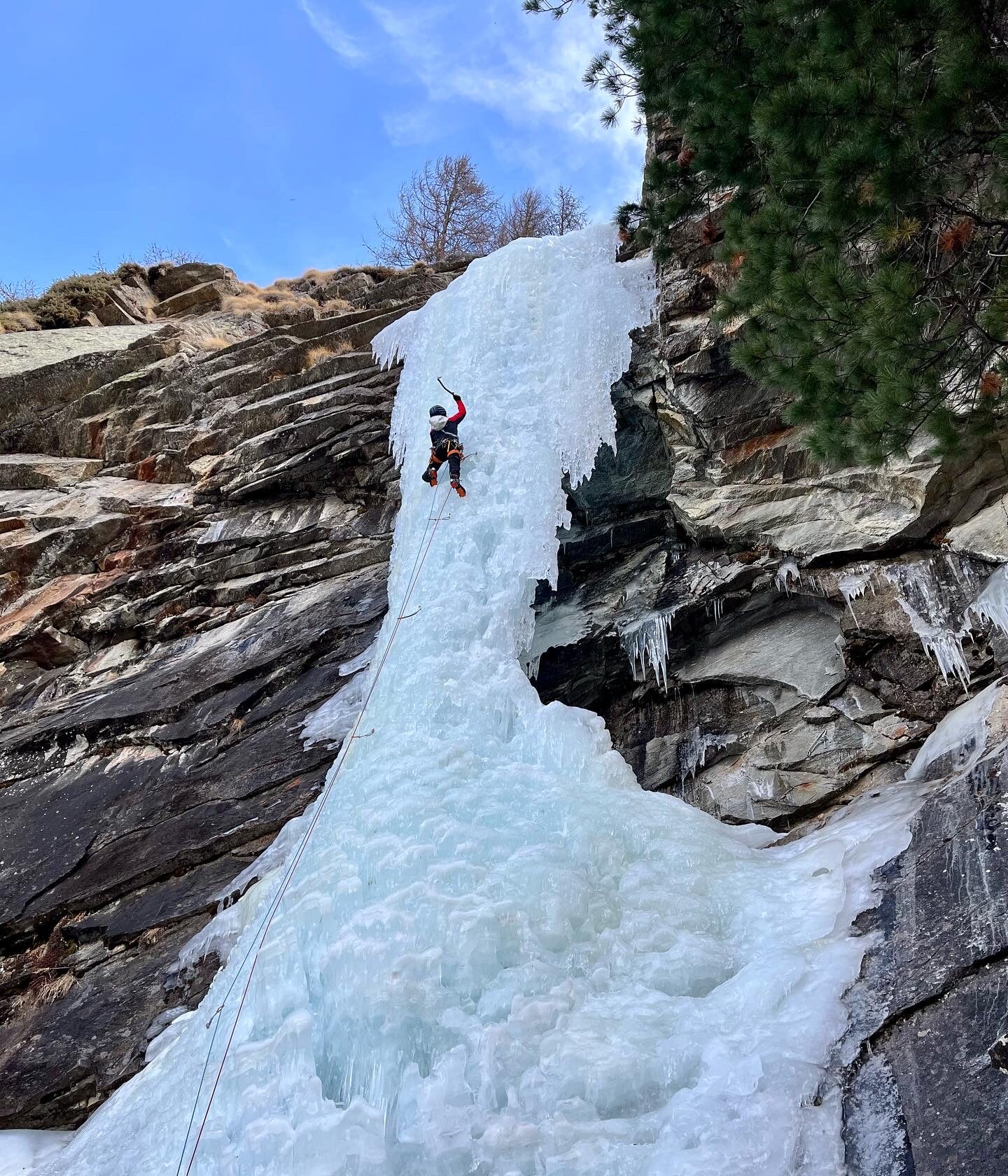 F14DE52C-FA67-400C-86EB-CE0FCFD59CF0