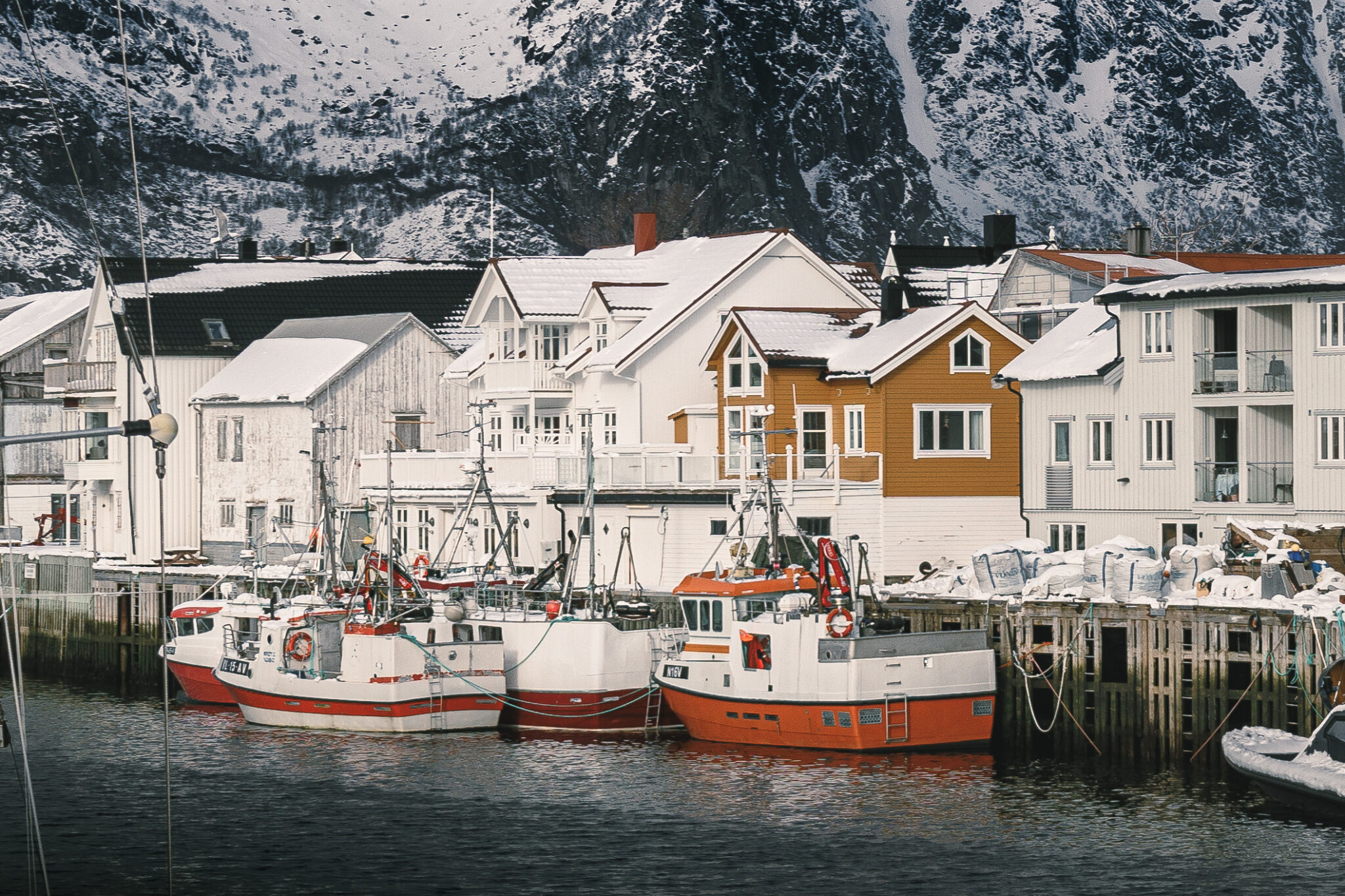 Lofoten_2025_2