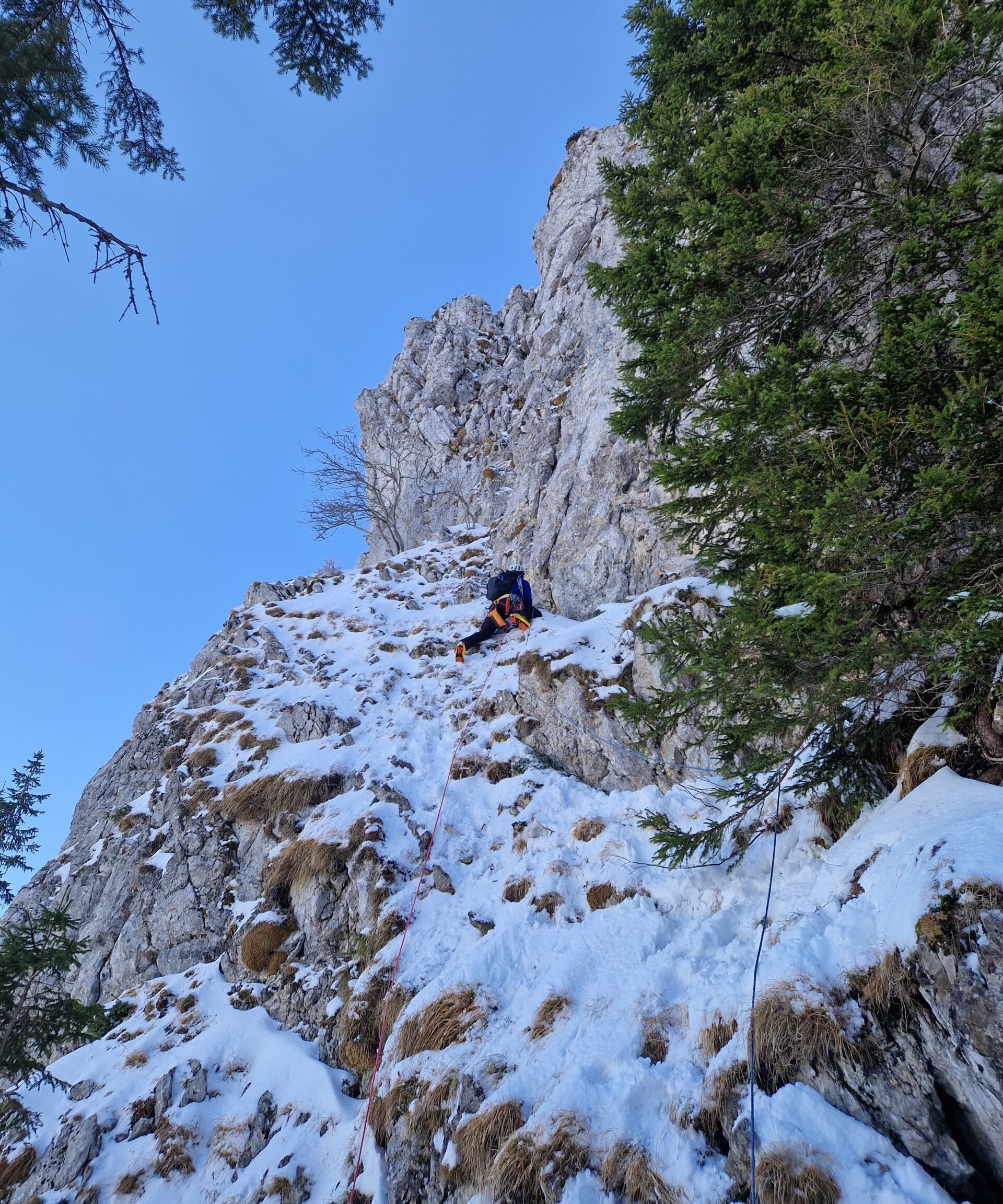 WhatsApp Image 2025-09-19 at 17.21.48