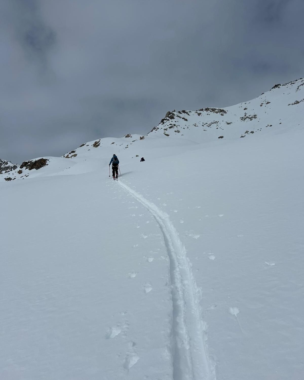 WhatsApp Image 2026-02-05 at 19.52.22