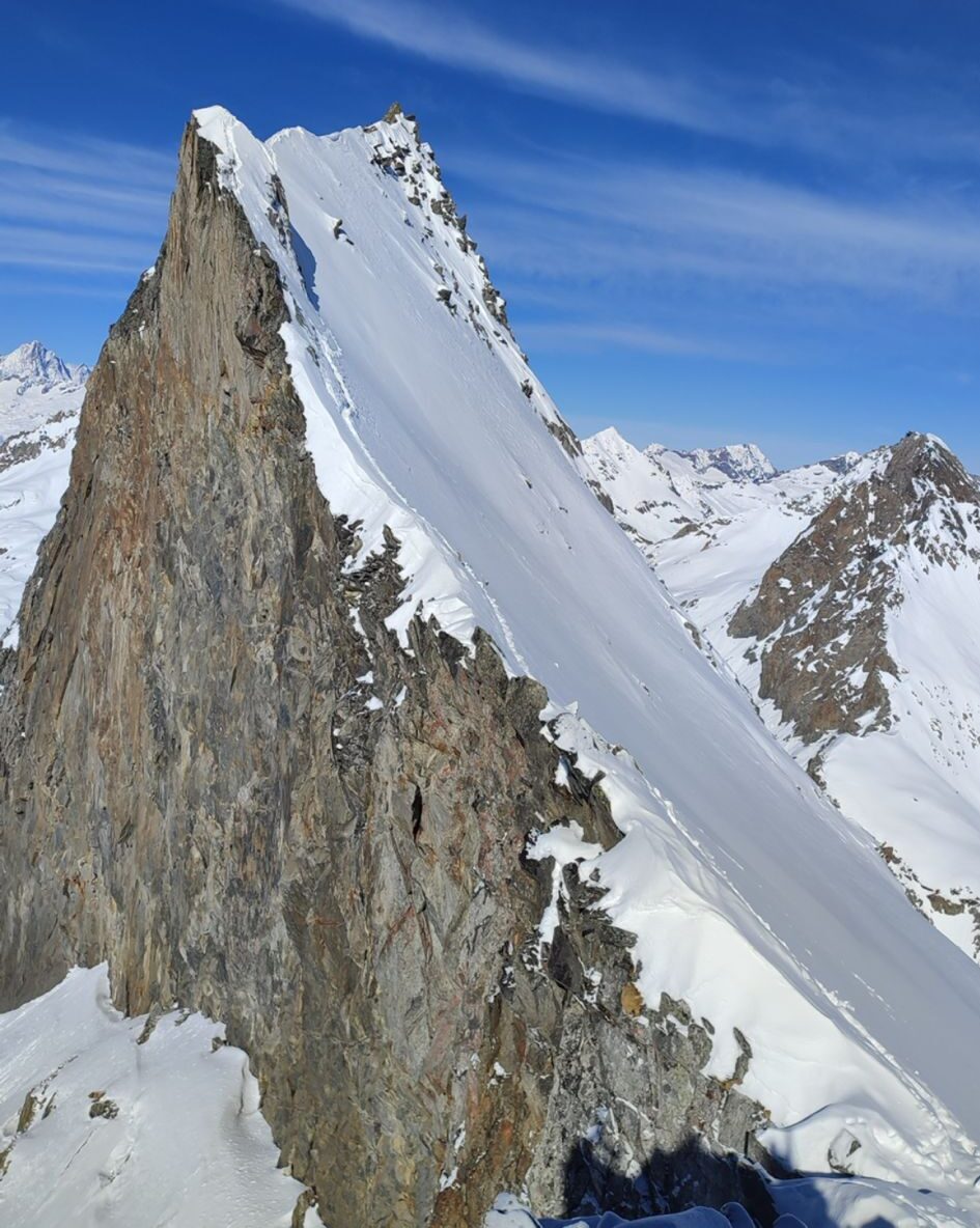 WhatsApp Image 2026-02-05 at 19.56.47