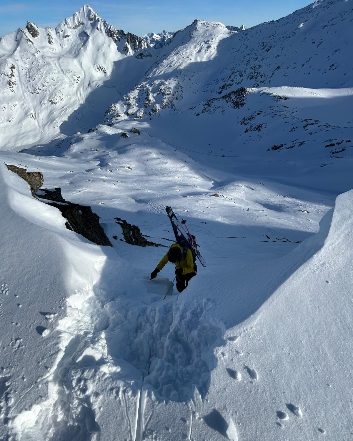 WhatsApp Image 2026-02-05 at 19.57.56