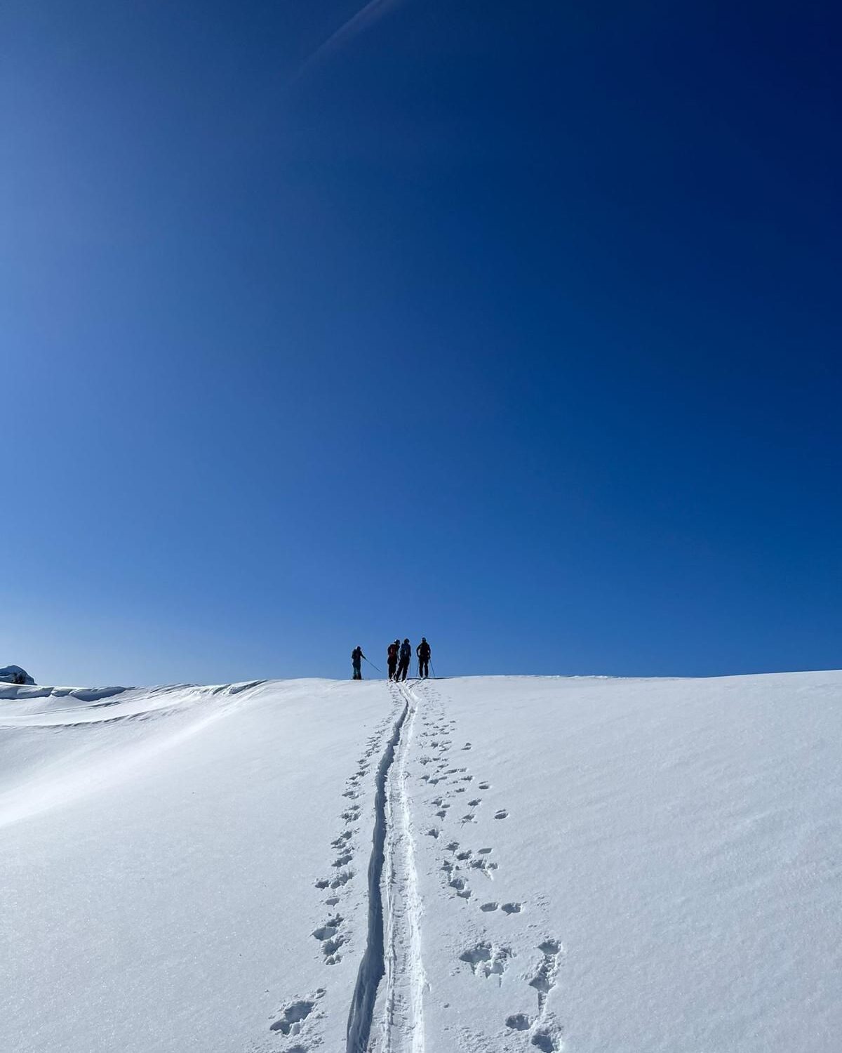 WhatsApp Image 2026-02-05 at 20.01.43