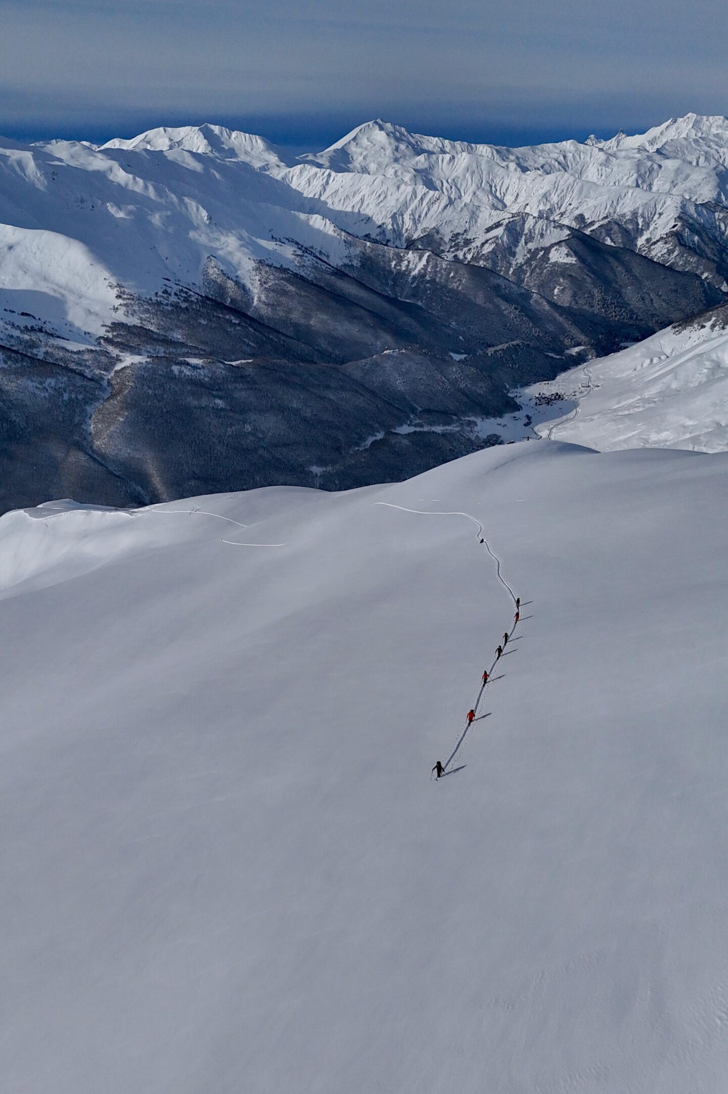 WhatsApp Image 2026-02-08 at 13.15.58